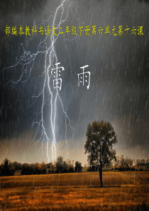 部编版课件《雷雨》ppt课件16