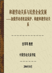 和谐劳动关系与民营企业发展——加强劳动者权益保护、构建和谐