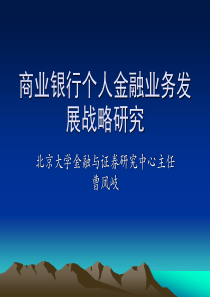 商业银行个人金融业务发展战略研究