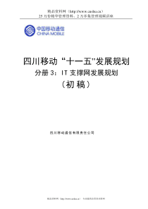 四川移动十一五发展规划—IT支撑网发展规划