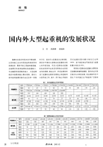 国内外大型起重机的发展状况