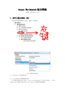 AnsysWorkbench划分网格