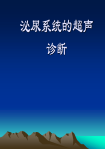 精选泌尿系统的超声诊断资料