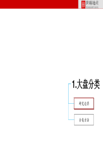 国内大盘发展研究1117409807