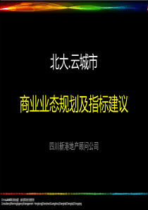 北大云城市商业业态规划及指标建议