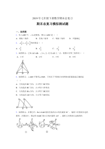 新版精选2019年七年级下册数学期末总复习考核题完整版(含答案)