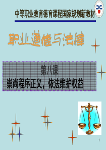 第八课崇尚程序正义-依法维护权益ppt课件