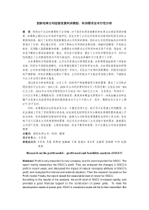 国家电网公司经营发展利润模型