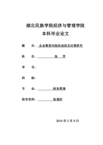 企业筹资风险的成因及对策研究成品