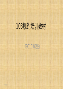 103规约讲解课件