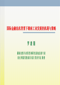 国际金融危机背景下湖南工业发展的机遇与策略