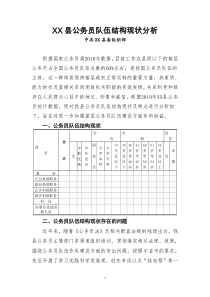 县公务员队伍结构现状分析