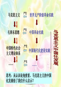 在实践中追求和发展真理(公开课)