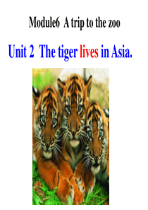 M6U2-The-tiger-lives-in-Asia新外研七年级上课件