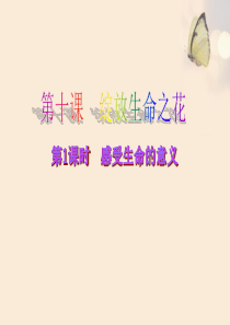 绽放生命之花-感受生命的意义(主题班会)