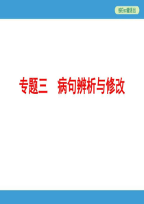 2019年中考语文专题复习三病句辨析与修改