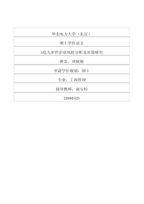 A电力多经企业风险分析及对策研究