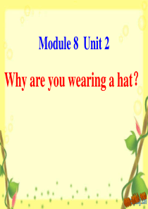 六年级下册M8U2-Why-are-you-wearing-a-hat