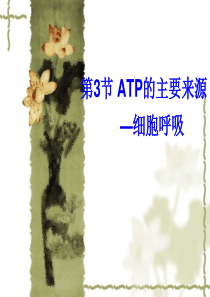 ATP的主要来源—细胞呼吸(带实验)