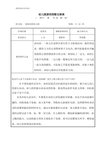 区域游戏观摩记录表2