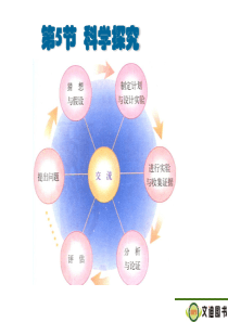 1.5科学探究