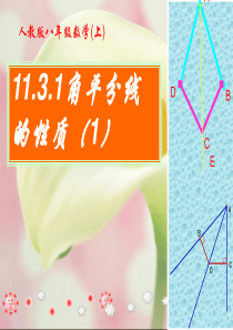 人教版八年级数学(上)11[1].3.1角平分线的性质1课件