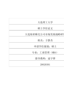 大连海密梯克公司市场发展战略研究