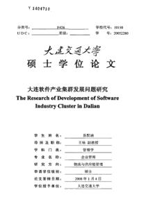 大连软件产业集群发展问题研究