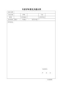 专家评审意见表