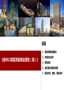 12区商业可行性报告