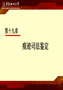 《痕迹司法鉴定》PPT课件