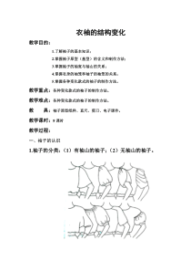 衣袖的结构变化