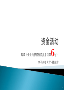 内部控制应用指引第6号《资金活动》讲解