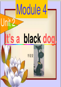 Its-a-black-dog.课件