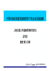 孟宪忠-中国市场经济新发展观背景下的企业发展战略