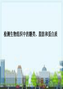 高中生物课件：检测生物组织中的糖类、脂肪和蛋白质