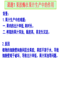 高中生物选修1专题4酶的研究与应用