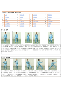 二十四式太极拳示范图解