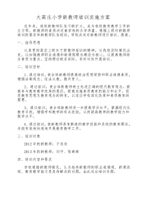 大高庄小学新教师培训方案