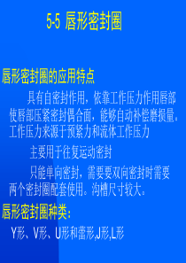 唇形密封件