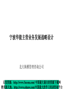 宁波华能主营业务发展战略设计（北大纵横咨询）