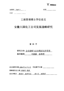 安徽六国化工公司发展战略研究