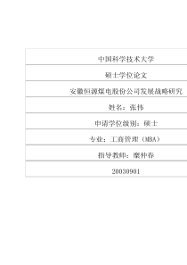 安徽恒源煤电股份公司发展战略研究