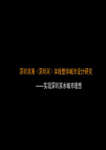 深圳滨海岸线整体城市设计