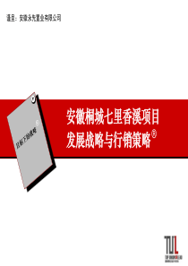 安徽桐城七里香溪项目发展战略与行销策略_72