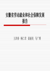 安徽省劳动就业和社会保障发展报告（PPT 50页）