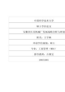 安徽省红星机械厂发展战略分析与研制