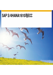 SAP-S4HANA和ECC比较-V1.0