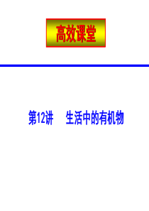 2010中考化学复习高效课堂第12讲生活中的有机物