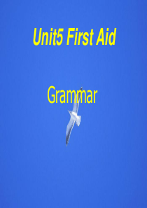 新人教必修五 Unit 5 First aid-Grammar[课件]